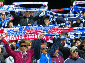 开云体育在线官网-球迷映像:在不同文化背景中爱足球的多样面貌,足球文化素材