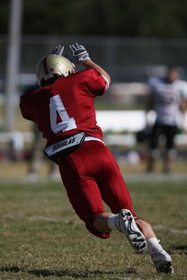 kaiyun网址-球员心理状态是否影响战术执行精度,论运动员心理因素对排球比赛的影响