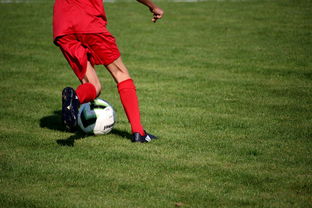 kaiyun网址-职业俱乐部推动退役球员培训转型教练岗位,职业选手退役当教练